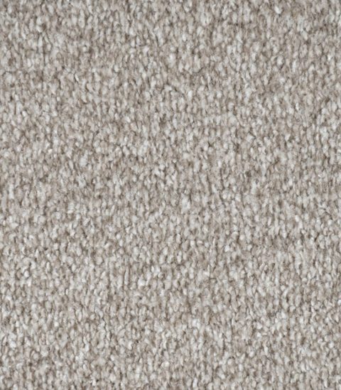 Mushroom Grey carpet, close-up of the pile