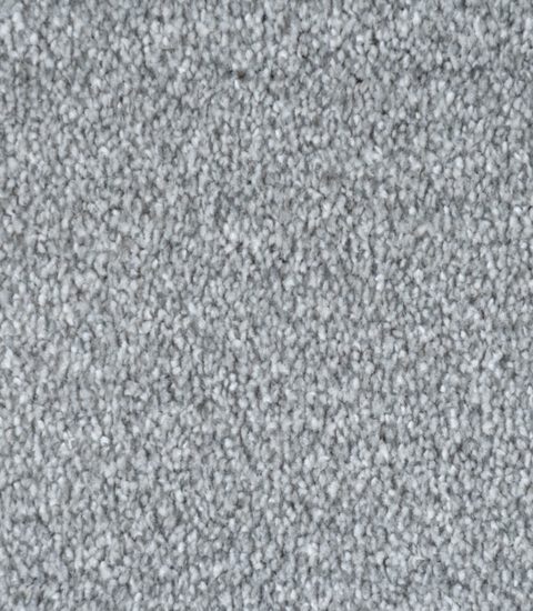 Silver carpet, close-up of the pile