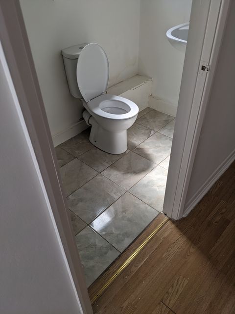Rental property WC: new vinyl