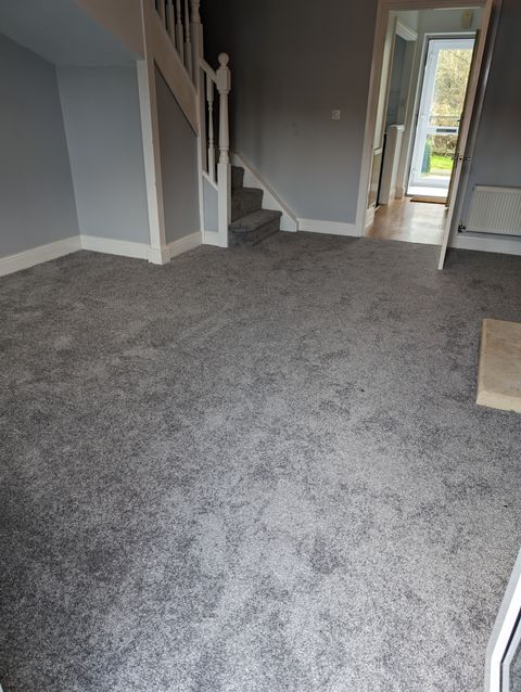Grey carpet, lounge